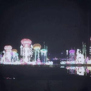 初中女生课照高清无码
